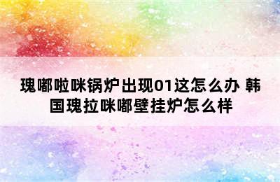 瑰嘟啦咪锅炉出现01这怎么办 韩国瑰拉咪嘟壁挂炉怎么样